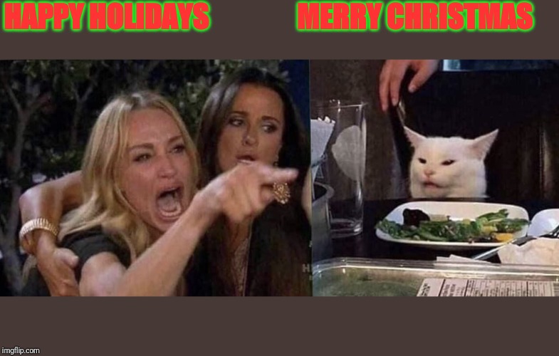 woman yelling at cat | HAPPY HOLIDAYS                MERRY CHRISTMAS | image tagged in woman yelling at cat | made w/ Imgflip meme maker