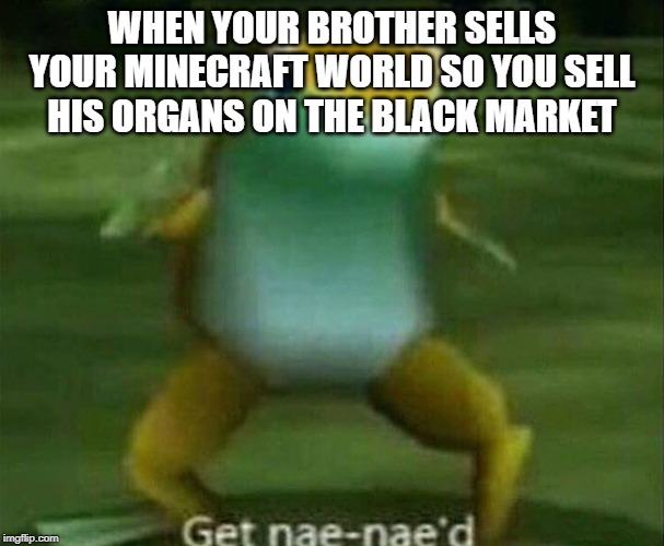 Get nae-nae'd | WHEN YOUR BROTHER SELLS YOUR MINECRAFT WORLD SO YOU SELL HIS ORGANS ON THE BLACK MARKET | image tagged in get nae-nae'd | made w/ Imgflip meme maker
