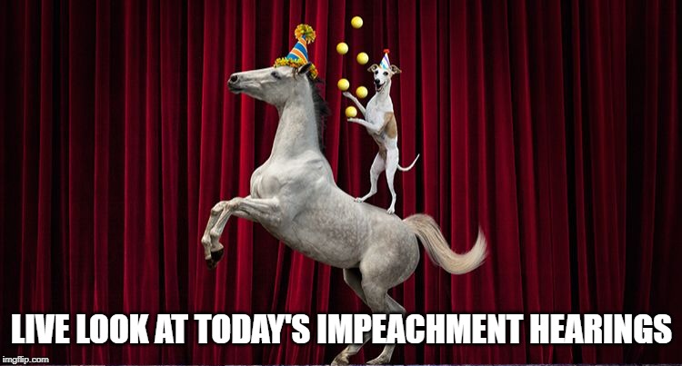 As If We Need a Civics Lesson | LIVE LOOK AT TODAY'S IMPEACHMENT HEARINGS | image tagged in politics | made w/ Imgflip meme maker