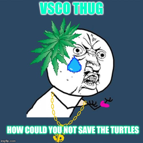 Y U No Meme | VSCO THUG; HOW COULD YOU NOT SAVE THE TURTLES | image tagged in memes,y u no | made w/ Imgflip meme maker