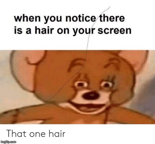 That hair! | image tagged in tom and jerry | made w/ Imgflip meme maker