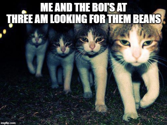 Wrong Neighboorhood Cats | ME AND THE BOI'S AT THREE AM LOOKING FOR THEM BEANS | image tagged in memes,wrong neighboorhood cats | made w/ Imgflip meme maker