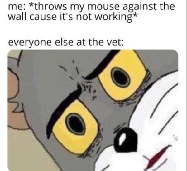 The vet Blank Meme Template