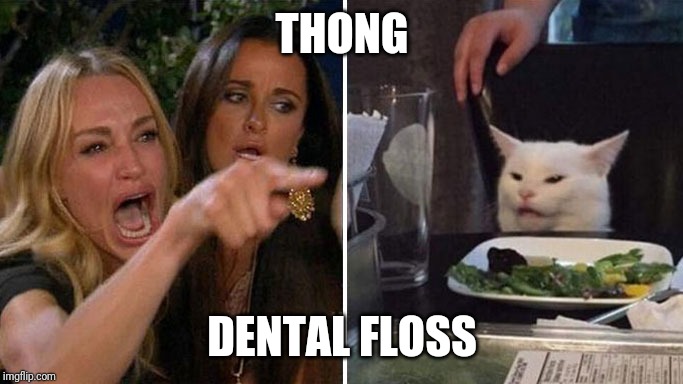 Angry lady cat | THONG; DENTAL FLOSS | image tagged in angry lady cat | made w/ Imgflip meme maker
