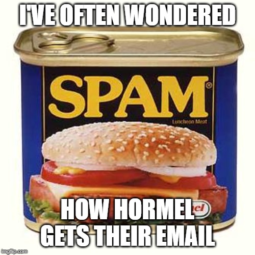 Spam | I'VE OFTEN WONDERED; HOW HORMEL GETS THEIR EMAIL | image tagged in spam | made w/ Imgflip meme maker