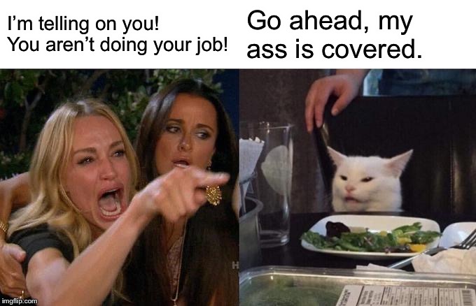 Woman Yelling At Cat | I’m telling on you! You aren’t doing your job! Go ahead, my ass is covered. | image tagged in memes,woman yelling at cat | made w/ Imgflip meme maker