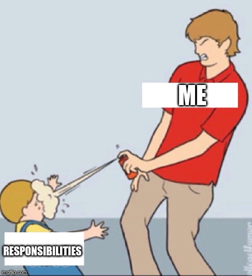 responsibilities | ME; RESPONSIBILITIES | image tagged in memes | made w/ Imgflip meme maker