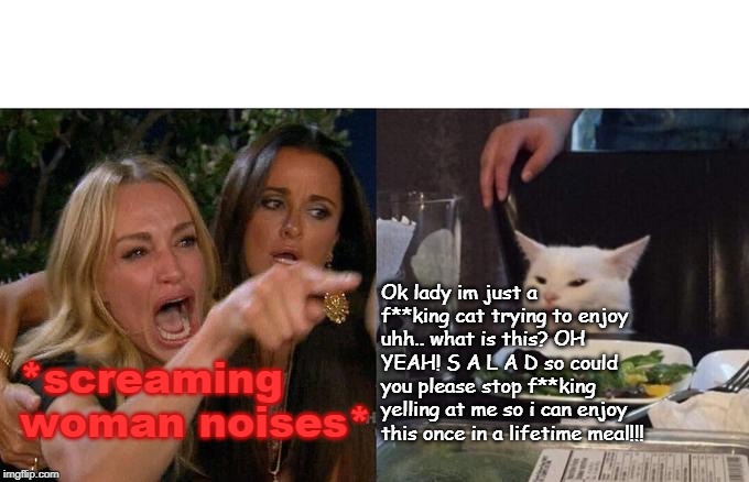 Woman Yelling At Cat | Ok lady im just a f**king cat trying to enjoy uhh.. what is this? OH YEAH! S A L A D so could you please stop f**king yelling at me so i can enjoy this once in a lifetime meal!!! *screaming woman noises* | image tagged in memes,woman yelling at cat | made w/ Imgflip meme maker