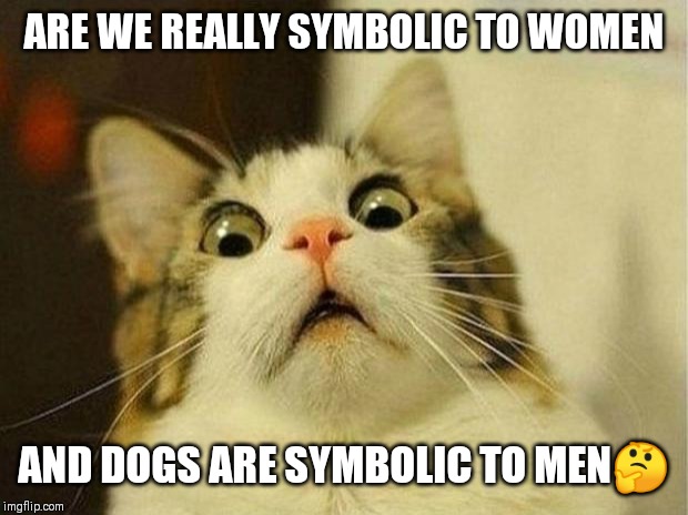 Jroc113 | ARE WE REALLY SYMBOLIC TO WOMEN; AND DOGS ARE SYMBOLIC TO MEN🤔 | image tagged in memes,scared cat | made w/ Imgflip meme maker