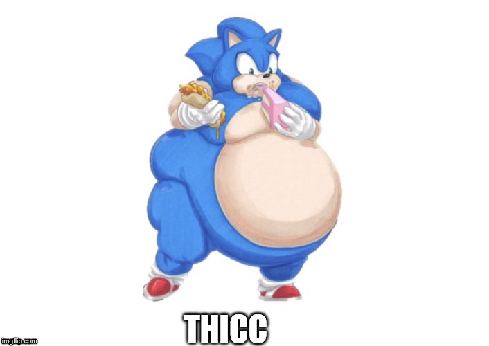fat sonic | THICC | image tagged in fat sonic | made w/ Imgflip meme maker
