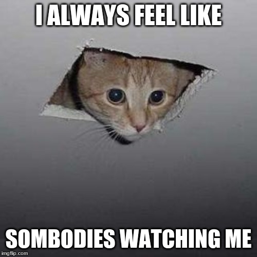 Ceiling Cat | I ALWAYS FEEL LIKE; SOMBODIES WATCHING ME | image tagged in memes,ceiling cat | made w/ Imgflip meme maker