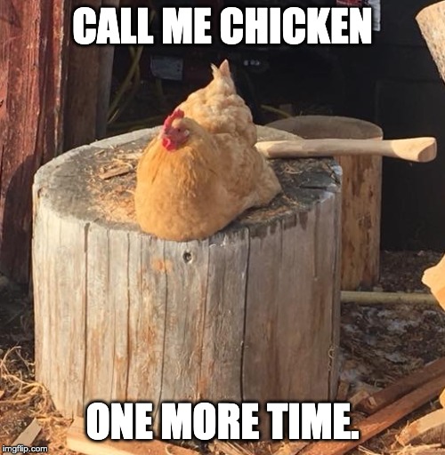 suicidal chicken | CALL ME CHICKEN; ONE MORE TIME. | image tagged in suicidal chicken | made w/ Imgflip meme maker