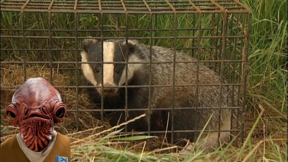 It's a trap! Blank Meme Template