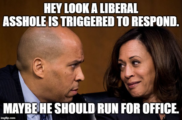 Corey Booker and Kamala Harris | HEY LOOK A LIBERAL ASSHOLE IS TRIGGERED TO RESPOND. MAYBE HE SHOULD RUN FOR OFFICE. | image tagged in corey booker and kamala harris | made w/ Imgflip meme maker