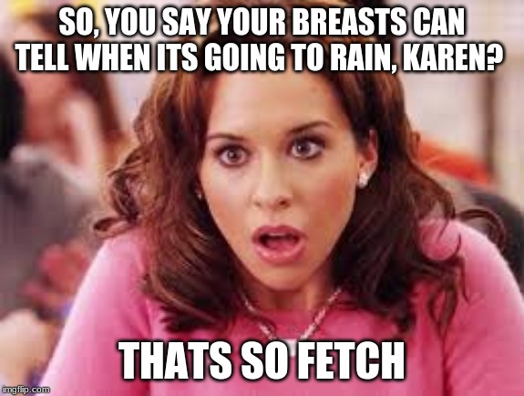 Gretchen Fetching | SO, YOU SAY YOUR BREASTS CAN TELL WHEN ITS GOING TO RAIN, KAREN? THATS SO FETCH | image tagged in stop trying to make fetch happen | made w/ Imgflip meme maker