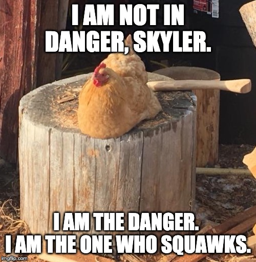 suicidal chicken | I AM NOT IN DANGER, SKYLER. I AM THE DANGER.  I AM THE ONE WHO SQUAWKS. | image tagged in suicidal chicken | made w/ Imgflip meme maker