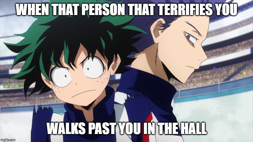 *Girlish screaming* | WHEN THAT PERSON THAT TERRIFIES YOU; WALKS PAST YOU IN THE HALL | image tagged in my hero academia,anime meme,deku,funny memes | made w/ Imgflip meme maker