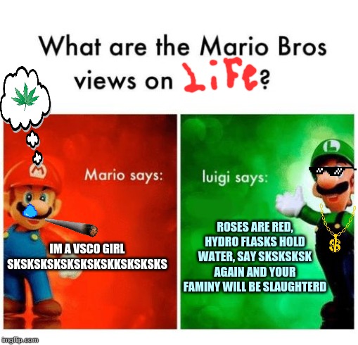 Mario says Luigi says | ROSES ARE RED, HYDRO FLASKS HOLD WATER, SAY SKSKSKSK AGAIN AND YOUR FAMINY WILL BE SLAUGHTERD; IM A VSCO GIRL
SKSKSKSKSKSKSKSKKSKSKSKS | image tagged in mario says luigi says | made w/ Imgflip meme maker