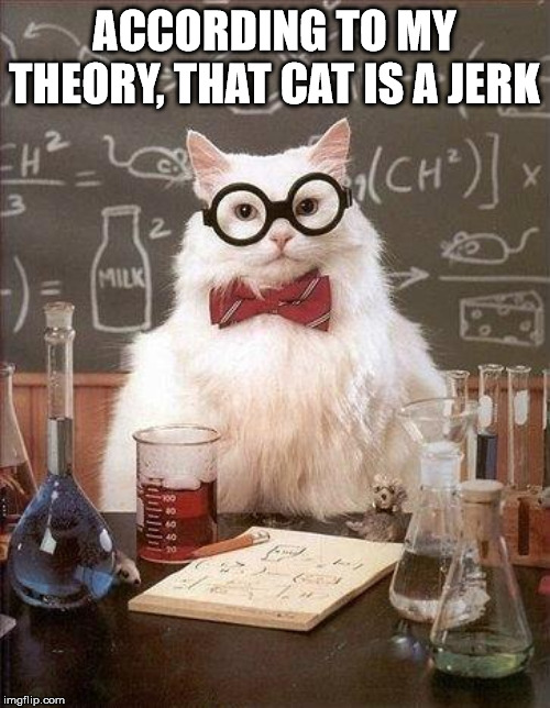 When you have a rude cat | ACCORDING TO MY THEORY, THAT CAT IS A JERK | image tagged in chemistry cat,cats | made w/ Imgflip meme maker
