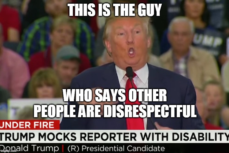 THIS IS THE GUY; WHO SAYS OTHER PEOPLE ARE DISRESPECTFUL | image tagged in trump,respect | made w/ Imgflip meme maker