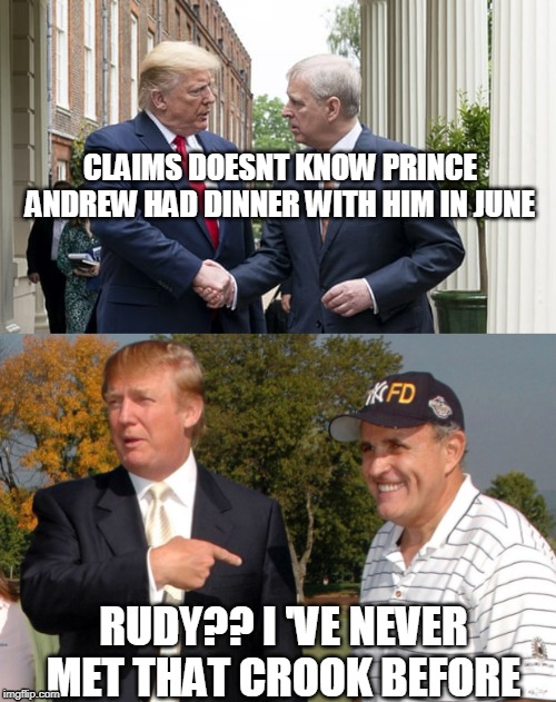 Drumpf has the dementia again | CLAIMS DOESNT KNOW PRINCE ANDREW HAD DINNER WITH HIM IN JUNE; RUDY?? I 'VE NEVER MET THAT CROOK BEFORE | image tagged in donald trump is an idiot | made w/ Imgflip meme maker