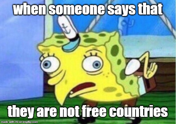 Mocking Spongebob Meme | when someone says that; they are not free countries | image tagged in memes,mocking spongebob | made w/ Imgflip meme maker