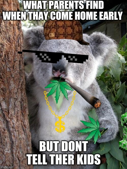 Surprised Koala Meme | WHAT PARENTS FIND WHEN THAY COME HOME EARLY; BUT DONT TELL THER KIDS | image tagged in memes,surprised koala | made w/ Imgflip meme maker