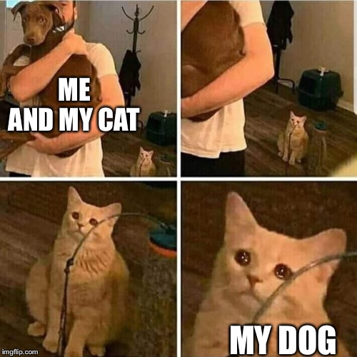 Sad Cat Holding Dog | ME AND MY CAT; MY DOG | image tagged in sad cat holding dog | made w/ Imgflip meme maker