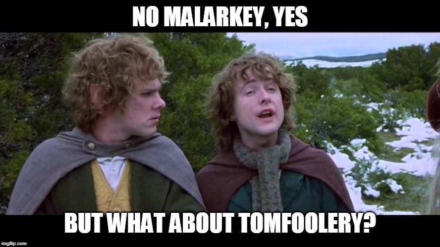 What about 2nd... | NO MALARKEY, YES BUT WHAT ABOUT TOMFOOLERY? | image tagged in what about 2nd | made w/ Imgflip meme maker