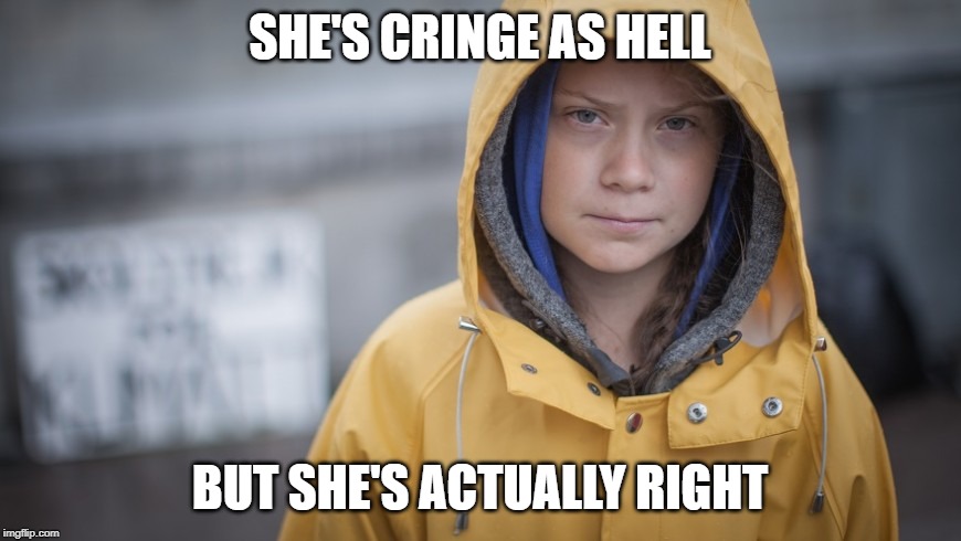 We still have to be intelligent enough to separate cringe from substance. | SHE'S CRINGE AS HELL BUT SHE'S ACTUALLY RIGHT | image tagged in angry greta,global warming,climate change,politics,cringe,cringe worthy | made w/ Imgflip meme maker