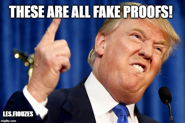 Donald Trump | THESE ARE ALL FAKE PROOFS! LES.FIOUZES | image tagged in donald trump | made w/ Imgflip meme maker