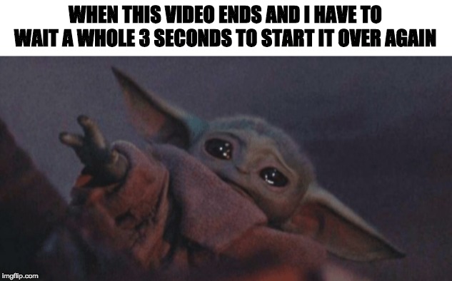 Baby yoda cry | WHEN THIS VIDEO ENDS AND I HAVE TO WAIT A WHOLE 3 SECONDS TO START IT OVER AGAIN | image tagged in baby yoda cry | made w/ Imgflip meme maker