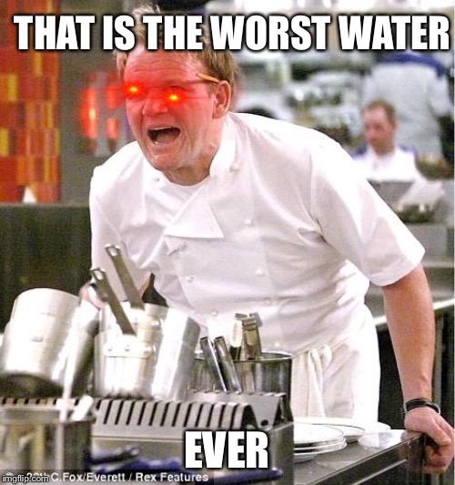 Chef Gordon Ramsay Meme | THAT IS THE WORST WATER; EVER | image tagged in memes,chef gordon ramsay | made w/ Imgflip meme maker