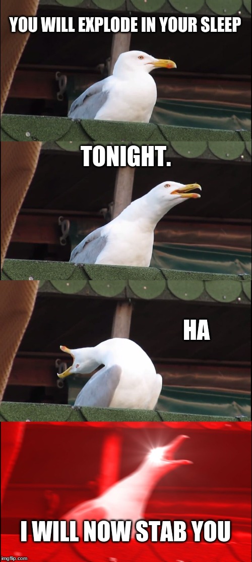 Inhaling Seagull | YOU WILL EXPLODE IN YOUR SLEEP; TONIGHT. HA; I WILL NOW STAB YOU | image tagged in memes,inhaling seagull | made w/ Imgflip meme maker