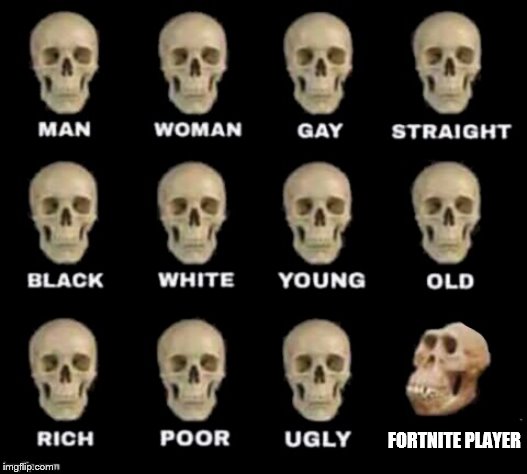 idiot skull | FORTNITE PLAYER | image tagged in idiot skull | made w/ Imgflip meme maker