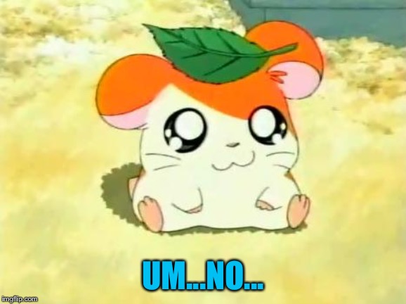 Hamtaro Meme | UM...NO... | image tagged in memes,hamtaro | made w/ Imgflip meme maker