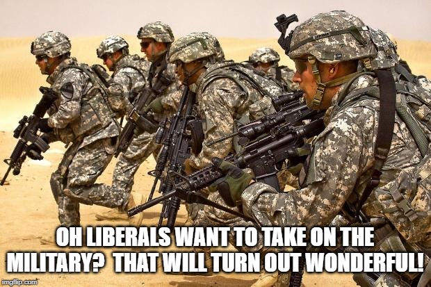 Military  | OH LIBERALS WANT TO TAKE ON THE MILITARY?  THAT WILL TURN OUT WONDERFUL! | image tagged in military | made w/ Imgflip meme maker