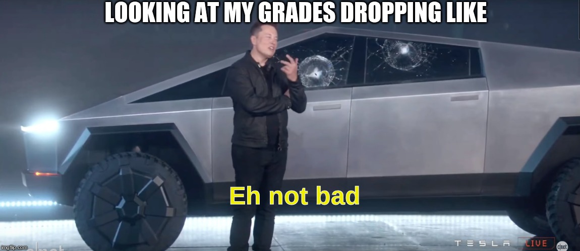 Elon Musk Eh Not Bad | LOOKING AT MY GRADES DROPPING LIKE; Eh not bad | image tagged in elon musk eh not bad | made w/ Imgflip meme maker