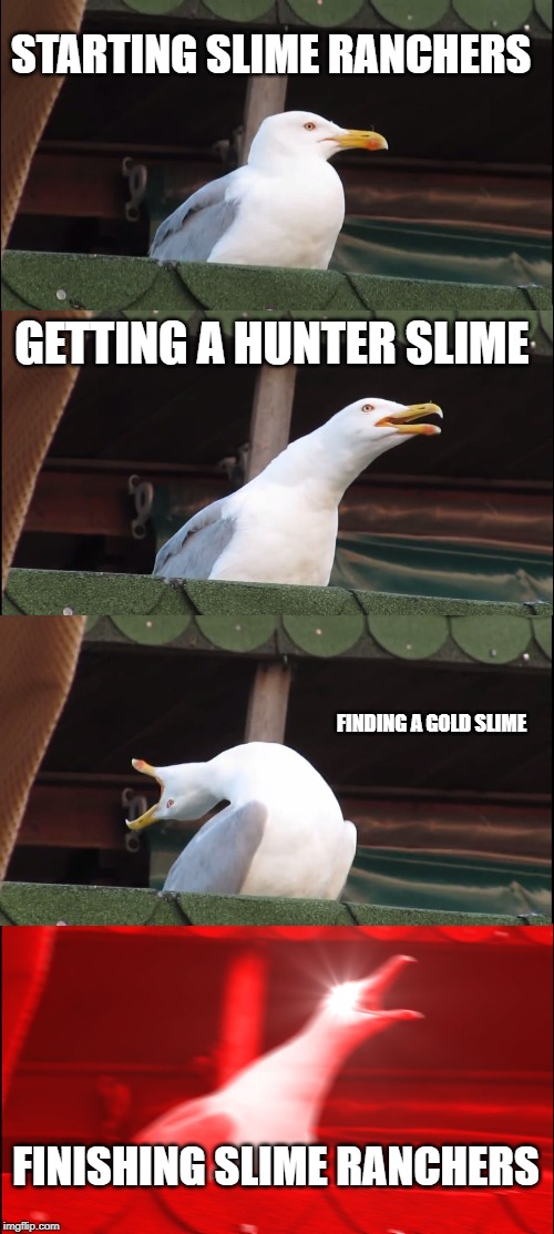 Inhaling Seagull | STARTING SLIME RANCHERS; GETTING A HUNTER SLIME; FINDING A GOLD SLIME; FINISHING SLIME RANCHERS | image tagged in memes,inhaling seagull | made w/ Imgflip meme maker