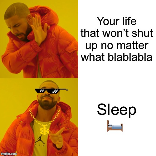 Drake Hotline Bling | Your life that won’t shut up no matter what blablabla; Sleep 🛏 | image tagged in memes,drake hotline bling | made w/ Imgflip meme maker
