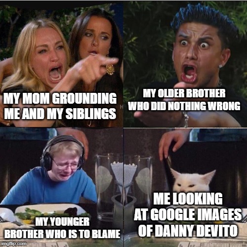 Four panel Taylor Armstrong Pauly D CallmeCarson Cat | MY OLDER BROTHER WHO DID NOTHING WRONG; MY MOM GROUNDING ME AND MY SIBLINGS; ME LOOKING AT GOOGLE IMAGES OF DANNY DEVITO; MY YOUNGER BROTHER WHO IS TO BLAME | image tagged in four panel taylor armstrong pauly d callmecarson cat | made w/ Imgflip meme maker