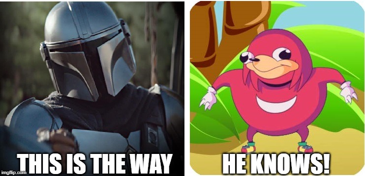 Finally | HE KNOWS! THIS IS THE WAY | image tagged in mandalorian | made w/ Imgflip meme maker