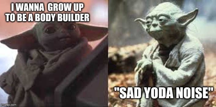 Baby Yoda old Yoda | I WANNA  GROW UP TO BE A BODY BUILDER; "SAD YODA NOISE" | image tagged in baby yoda old yoda | made w/ Imgflip meme maker