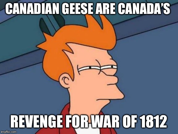 Futurama Fry Meme | CANADIAN GEESE ARE CANADA’S; REVENGE FOR WAR OF 1812 | image tagged in memes,futurama fry | made w/ Imgflip meme maker