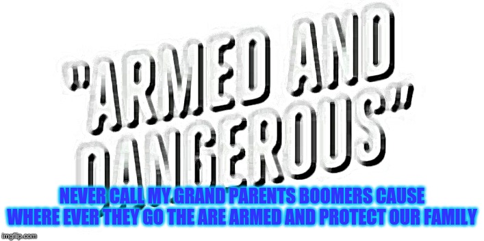 NEVER CALL MY GRAND PARENTS BOOMERS CAUSE WHERE EVER THEY GO THE ARE ARMED AND PROTECT OUR FAMILY | image tagged in guns,boomer | made w/ Imgflip meme maker