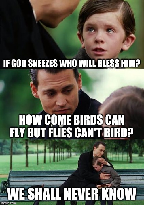 Finding Neverland | IF GOD SNEEZES WHO WILL BLESS HIM? HOW COME BIRDS CAN FLY BUT FLIES CAN'T BIRD? WE SHALL NEVER KNOW | image tagged in memes,finding neverland | made w/ Imgflip meme maker