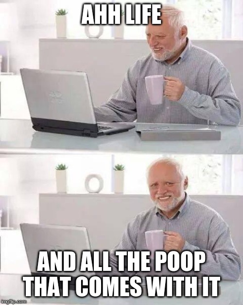 Hide the Pain Harold Meme | AHH LIFE; AND ALL THE POOP THAT COMES WITH IT | image tagged in memes,hide the pain harold | made w/ Imgflip meme maker