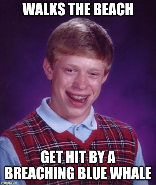 Bad Luck Brian Meme | WALKS THE BEACH; GET HIT BY A BREACHING BLUE WHALE | image tagged in memes,bad luck brian | made w/ Imgflip meme maker