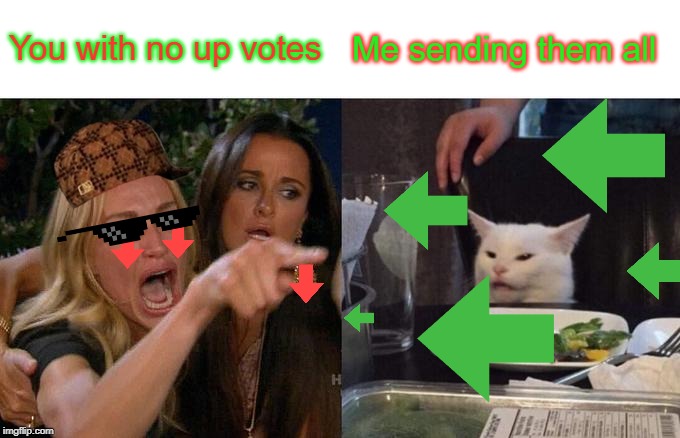 Woman Yelling At Cat Meme | You with no up votes; Me sending them all | image tagged in memes,woman yelling at cat | made w/ Imgflip meme maker