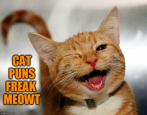 CAT
PUNS
FREAK 
MEOWT | made w/ Imgflip meme maker